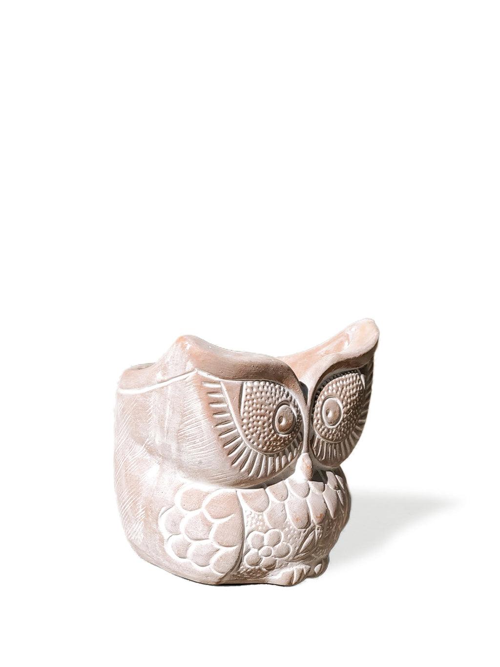 Big Eye Owl Pot