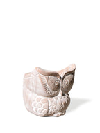 Big Eye Owl Pot