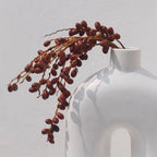  Handmade sculptural arch vase in off white with a trailing berry stem against a plaster wall