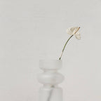Iris bud vase with a slender dried stem against a soft neutral wall