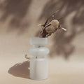 Iris frosted glass vase with stacked ribbed form holding a dried protea stem