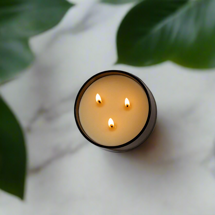 Rosemary & Lemon 3-Wick Candle