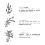 3-Wick Candle Of The Sea Signature