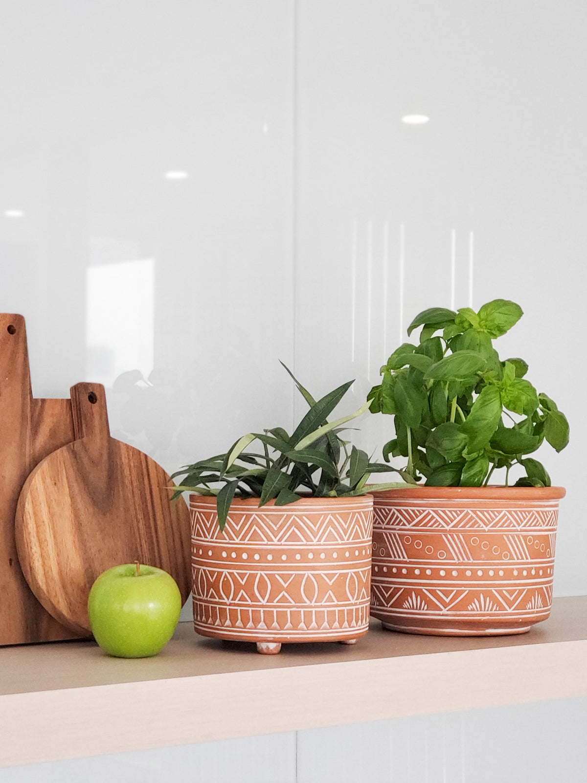 Hand etched terracotta planter styled with indoor plant on shelf — Calmly Elevated