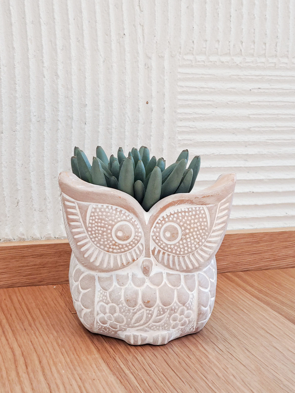 Big Eye Owl Pot