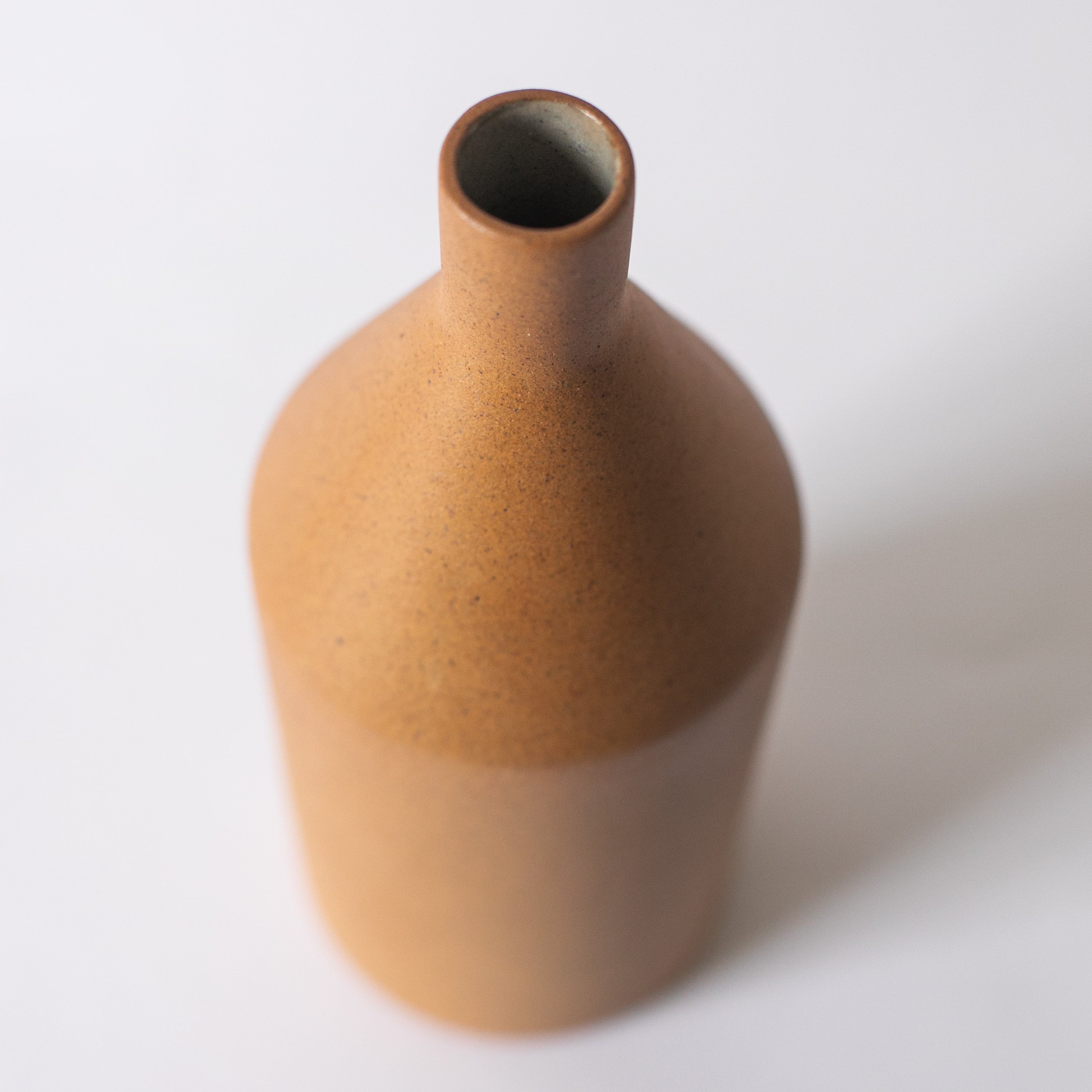 Morandi ceramic vase styled with dried botanicals on minimalist shelf — Calmly Elevated